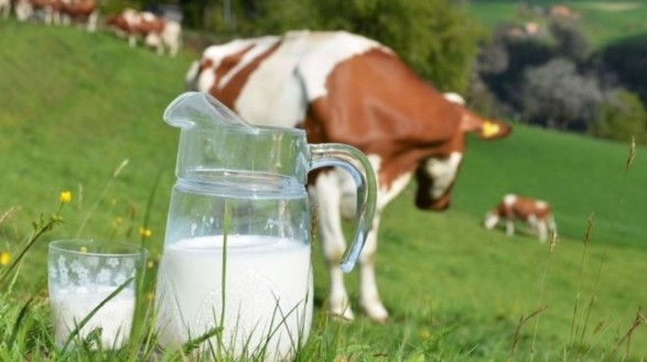 Kuşadası Belediyesi’nin süt desteği 1 haftada 418 çocuğa ulaştı