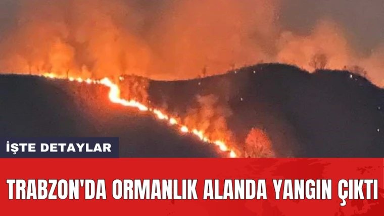 Trabzon'da ormanlık alanda yangın çıktı